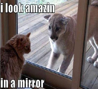 Mirror ...