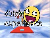 Dumb Experience